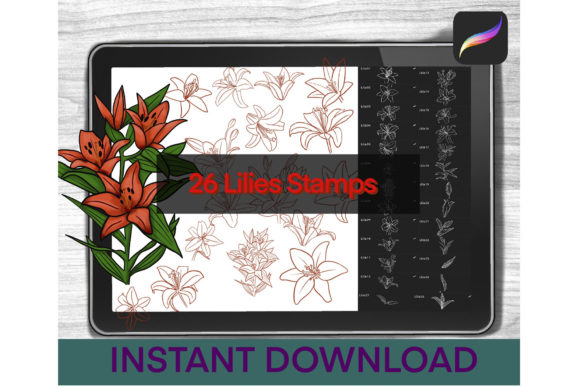 Download Lily Brushes Procreate Stamps - Brushes procreate Collection