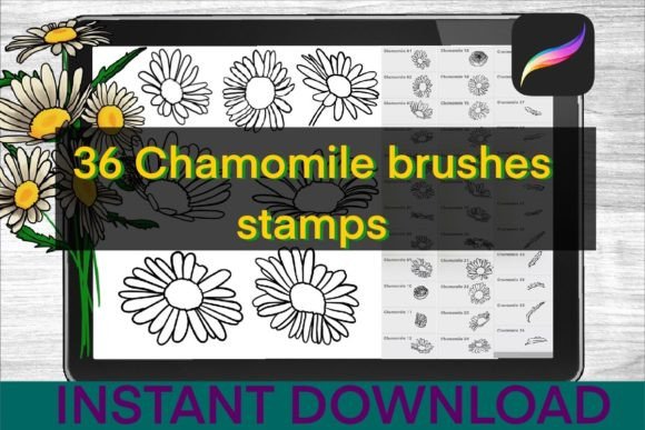 Download Chamomile Brushes Procreate Stamps - Brushes procreate Collection